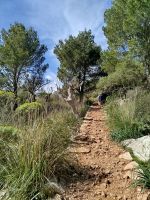 IMG_20260320_115236.jpg &ndash; &copy; Kerstin Veit (Eberhardt TRAVEL)