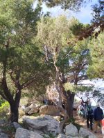 IMG_20260320_115532.jpg &ndash; &copy; Kerstin Veit (Eberhardt TRAVEL)