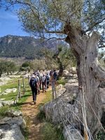 IMG_20260320_122843.jpg &ndash; &copy; Kerstin Veit (Eberhardt TRAVEL)