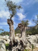 IMG_20260320_125204.jpg &ndash; &copy; Kerstin Veit (Eberhardt TRAVEL)