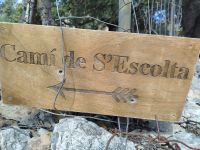 IMG_20260320_125408.jpg &ndash; &copy; Kerstin Veit (Eberhardt TRAVEL)