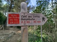 IMG_20260321_115156.jpg &ndash; &copy; Kerstin Veit (Eberhardt TRAVEL)