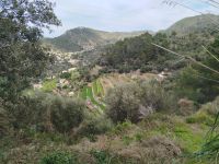 landwirtschaftliches Anbaugebiet &ndash; &copy; Kerstin Veit (Eberhardt TRAVEL)