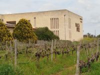 Weingut Bacia Batle &ndash; &copy; Kerstin Veit (Eberhardt TRAVEL)