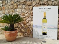 IMG_20260321_145003.jpg &ndash; &copy; Kerstin Veit (Eberhardt TRAVEL)