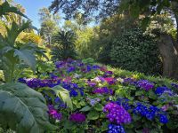 Botanischer Garten Marimurtra in Blanes &ndash; &copy; Katrin Jähne (Eberhardt TRAVEL)