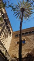Barcelona - Casa de l Ardiaca - Innenhof 2 &ndash; &copy; Anke Nicke (Eberhardt TRAVEL)