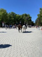 Unter dern wachsamen Augen der berittenen Polizei &ndash; &copy; Elke Knappe (Eberhardt TRAVEL)