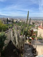 Kakteen fühlen sich hier wohl &ndash; &copy; Elke Knappe (Eberhardt TRAVEL)