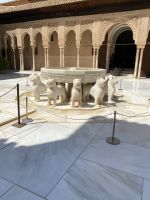 Die Löwen haben unterschiedliche Köpfe &ndash; &copy; Elke Knappe (Eberhardt TRAVEL)