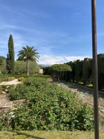 Noch ist die Vegetation üppig &ndash; &copy; Elke Knappe (Eberhardt TRAVEL)