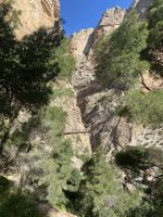 Nur die Kiefer trotzt hier den widrigen Bedingungen &ndash; &copy; Elke Knappe (Eberhardt TRAVEL)