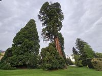 Königspalast La Granja de San Ildefonso &ndash; &copy; Katrin Jähne (Eberhardt TRAVEL)