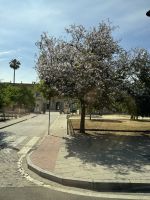 Sevilla &ndash; &copy; Laetitia Wollny (Eberhardt TRAVEL)