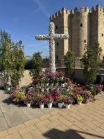 Blumenkreuz zur Feier vom Tag des Kreuzes am 3. Mai in Córdoba &ndash; &copy; Laetitia Wollny (Eberhardt TRAVEL)