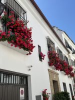 Balkon Córdoba &ndash; &copy; Laetitia Wollny (Eberhardt TRAVEL)