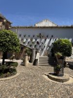 Zoco Córdoba &ndash; &copy; Laetitia Wollny (Eberhardt TRAVEL)