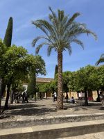 Innenhof der Orangenbäume Córdoba &ndash; &copy; Laetitia Wollny (Eberhardt TRAVEL)