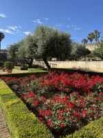 Gärten Alcazaba - Jerez de la Frontera &ndash; &copy; Laetitia Wollny (Eberhardt TRAVEL)