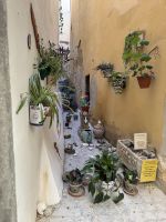 Callejón Duende - Cádiz &ndash; &copy; Laetitia Wollny (Eberhardt TRAVEL)