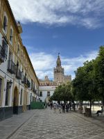 Orangen Innenhof Alcazaba Sevilla &ndash; &copy; Laetitia Wollny (Eberhardt TRAVEL)