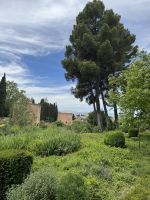 Gärten Alhambra &ndash; &copy; Laetitia Wollny (Eberhardt TRAVEL)
