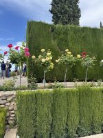 Gärten Alhambra &ndash; &copy; Laetitia Wollny (Eberhardt TRAVEL)