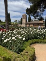 Gärten Alhambra &ndash; &copy; Laetitia Wollny (Eberhardt TRAVEL)