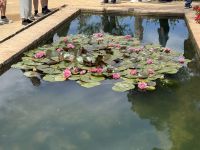 Gärten Alhambra &ndash; &copy; Laetitia Wollny (Eberhardt TRAVEL)