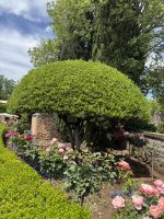 Gärten Alhambra &ndash; &copy; Laetitia Wollny (Eberhardt TRAVEL)