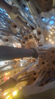 Dach aus Baumwipfeln in Sagrada Familia Mai 2026 &ndash; &copy; Anette Rietz (Eberhardt TRAVEL)
