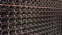 Besuch Cava-Kellerei Penèdes Weingebiet &ndash; &copy; Anette Rietz (Eberhardt TRAVEL)