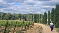 Weingebiet Penèdes bei Barcelona &ndash; &copy; Anette Rietz (Eberhardt TRAVEL)