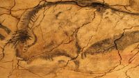 Höhle Altamira  &ndash; &copy; Beate Klingebiel (Eberhardt TRAVEL)