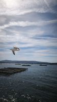 O Grove Muschelzucht  &ndash; &copy; Beate Klingebiel (Eberhardt TRAVEL)