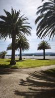 La Toja  &ndash; &copy; Beate Klingebiel (Eberhardt TRAVEL)