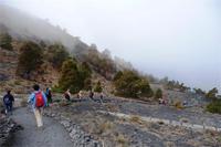 Abstieg am 2. Wandertag