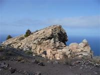 hier verstecken sich die Eidechsen