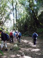 Wanderung El Tablado