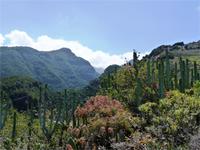 Wanderung El Tablado