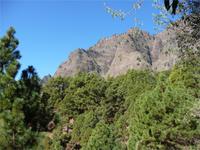 Wanderung Caldera de Taburiente