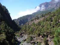Wanderung Caldera de Taburiente