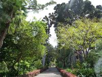 Botanische Garten in Puerto de la Cruz