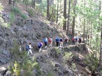 Wanderung Orotava Tal