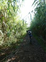 im Nationalpark s'Albufera
