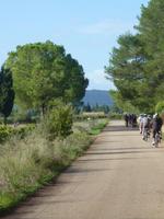 Radtour im Inselinneren
