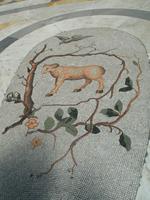 Widder &ndash; &copy; Maxi Wendler (Eberhardt TRAVEL)