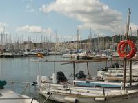 Hafen von Palma