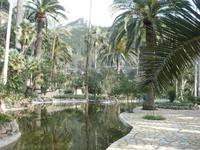 in den Gärten von Alfábia