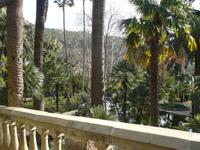 in den Gärten von Alfábia